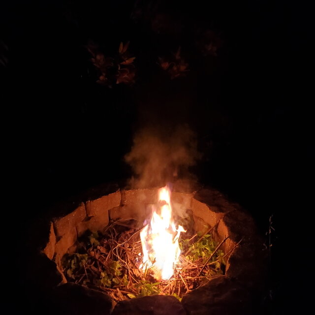 Burn4RodH03.jpg