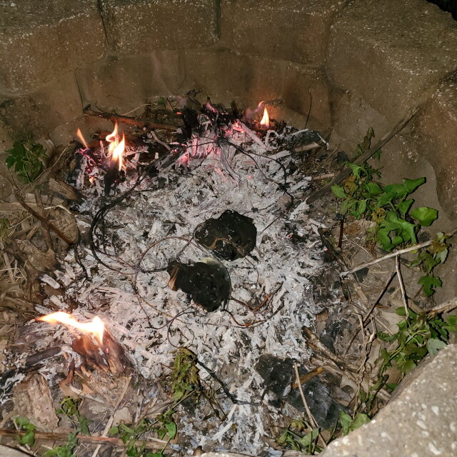 Burn4RodH04.jpg