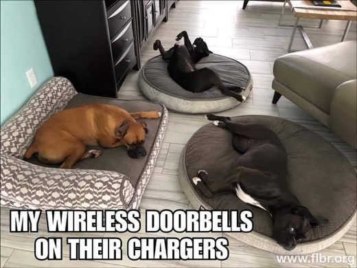 my-wireless-doorbells-on-their-chargers.jpg.a6f596df6ea01d7187027eb92a5720dd.jpg