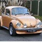 Beetle1303